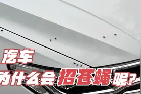 汽车为什么会招苍蝇？