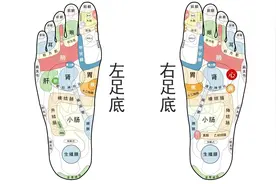 足底穴位 足底反射区