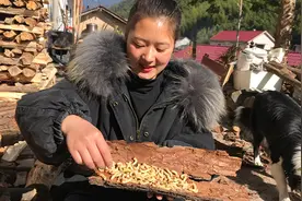 农村姑娘砍柴发现可以吃的虫子，用土灶一烘，一口一根吃的老香了视频封面