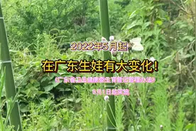 广东最新的生育政策，本月起生娃有了五大变化，超宽松的了！！！视频封面