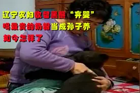 辽宁农妇收留黑熊“弃婴”，喝最贵的奶粉当成孙子养，如今怎样了视频封面