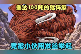 小伙竟用20万根头发拖起了，堪比山岳大小，100吨重的猛犸象视频封面