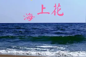 海上花 纯音乐 填词罗大佑 谱曲罗大佑 原唱甄妮视频封面