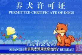 上海养犬管理条例2023视频封面
