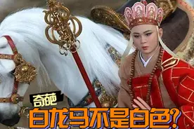 86版西游记白龙马是假冒的？黑马化妆成白马，骗了我们30多年视频封面