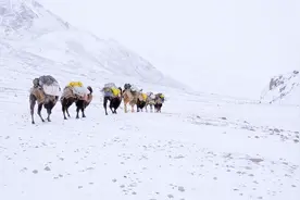 无人区探秘2：穿越首站风雪来袭，雪地惊现狼群脚印视频封面