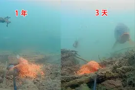 酒米是不是像酒一样！泡的时间越长越好？视频封面