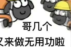 羊了个羊独家攻略干货，加通关视频全流程8分半，个人解析。视频封面