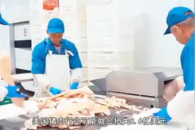 失去中国市场，猪蹄和鸡爪沦为垃圾，美国农民投入重金回收处理视频封面