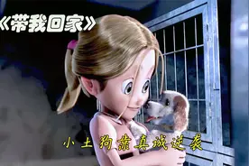 女孩被高傲的贵宾犬吸引，却被小土狗的真诚打动，将他带回了家