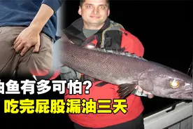 油鱼有多恐怖？吃完后屁股漏油秒变“喷射战士”，为何会这样？