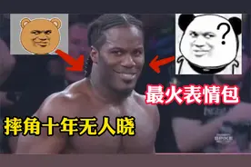 摔角十年无人晓，邪魅一笑火全网。最火表情包出处视频封面