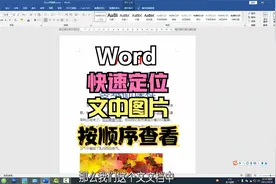 Word快速找到文中图片，按顺序依次查看，零基础教学课程！视频封面