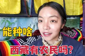西藏除了青稞有啥粮食？遍地牦牛还有农民种地，感谢国家援藏计划视频封面