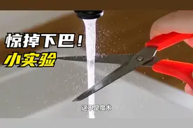 雪碧可以复活玫瑰花，隔空爆破气球，带你解锁更多科学小实验！