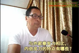 阿福说内家拳之 内劲到底是什么-怎样练出内劲-讲座-上视频封面