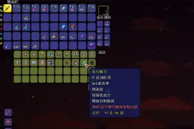 还在刷史莱姆法杖和泰拉魔刃？我直接买！盘点泰拉瑞亚秘密种子视频封面