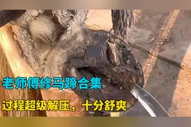 老师傅修马蹄合集，过程极度舒爽，非常解压