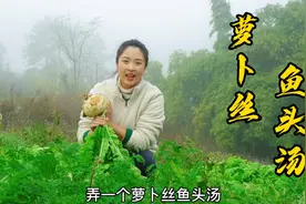 小向用萝卜煮鱼头汤，汤白如奶有技巧，做法简单还好喝视频封面