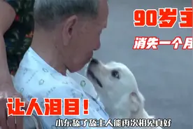90岁主人消失一个月，狗狗总在门口“哭泣”，再见面让人泪目视频封面