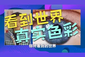 你所看到的世界的色彩 是真实的世界吗？