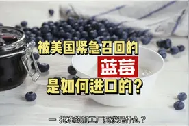 蓝莓干所含铅超标，被召回了，一起看看蓝莓是如何进口的？视频封面