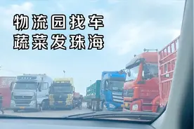 寿光18吨蔬菜发珠海，你知道运费多少钱吗？物流园车很多却没谈成视频封面