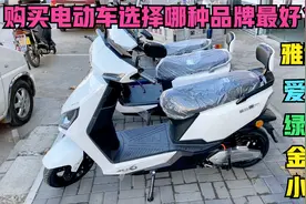 购买电动车，如果不选择雅迪和爱玛？到底选择哪种质量最好最耐用