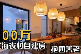 东拼西凑一百万，上海农村自建房抱团养老 打造乡村适老住宅视频封面
