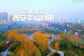 走进全球最大地下空间综合利用工程之一——西安幸福林带视频封面