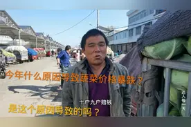 河南今年蔬菜价格下跌，是什么原因导致的？听听菜农大叔怎么说！视频封面