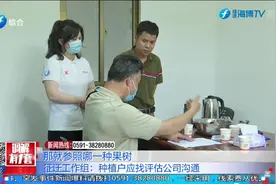 海南黄花梨林地遇征迁 估价引发争议视频封面