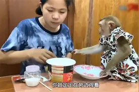 越南富姐养了一只猴子，普通水果饭菜吃腻后，便泡了桶泡面给它吃视频封面