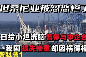坦桑尼亚吃水忘记挖井人，单方面叫停港口项目，我国却因祸得福？视频封面