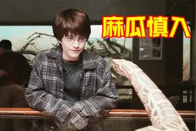 男孩头顶有一道闪电疤，能和蟒蛇说话，原来他是魔法师的后代电影视频封面