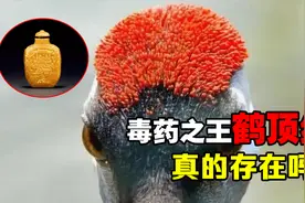 “毒药之王”鹤顶红，到底是什么？它的毒性究竟有多强？视频封面