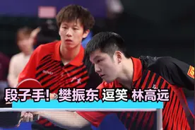 爆笑凡尔赛！樊振东坏笑，霸气一语逗笑林高远，世界第一幽默可爱视频封面