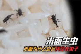 为什么超市里的米面不生虫，买回家后就生虫？生虫的米面还能吃吗