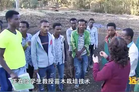 中国老师竟有5万非洲徒弟！教会他们种地养鸡视频封面