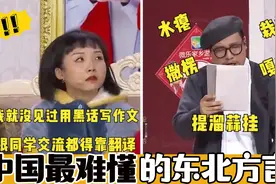 中国最难懂东北方言，大连话完全听不懂，吉林黑话完全没听过！视频封面