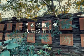 “荷塘月色”复垦成农田，三圣乡再无“五朵金花”了！视频封面