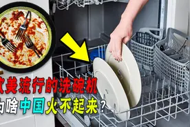 风靡欧美的洗碗机，为啥中国火不起来？它是厨房必备还是鸡肋？视频封面