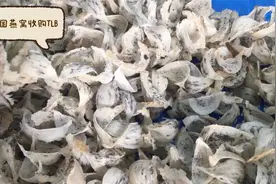 采购泰国毛燕 牛气的穆斯林大哥视频封面