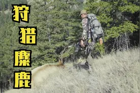职业猎人史蒂文获得稀有猎票，进山狩猎麋鹿，最后却差点翻车！视频封面