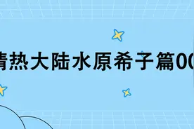 【纪录片】情热大陆水原希子篇001-【480P】【转载】视频封面