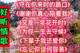 《守在你来时的路口》《谢谢你真心陪着我》《又是一年花开时》