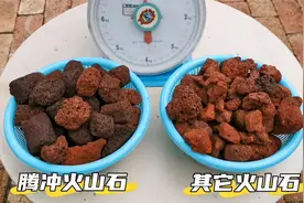 腾冲轻质浮水天然火山石，和其他火山石对比，鱼池鱼缸过滤好材料