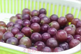 葡萄千万别用清水洗，等于吃农药虫卵，学会这招脏东西全跑光