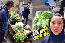 未来4个多月菜价推测，本地应季露天蔬菜，即将进入尾声！涨价咯