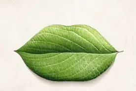 心理测试：第一眼你先看到嘴唇还是叶子？测你智商有多高，太准了视频封面